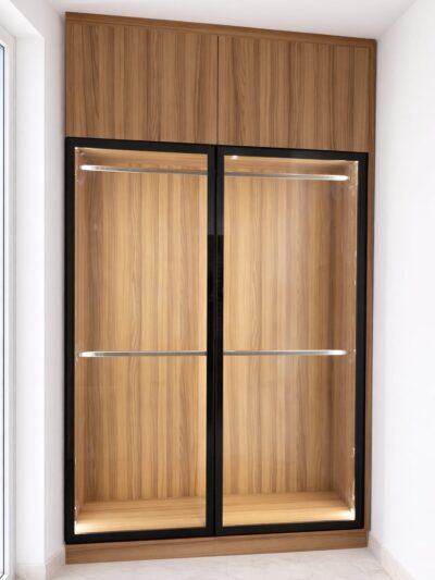Modern Glass Display Wardrobe (test)
